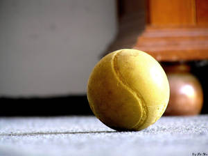 Yellow ball