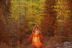 Sawsbuck - Autumn colours