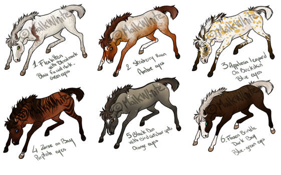 Point Adoptable Foals Set