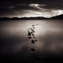 crossing over