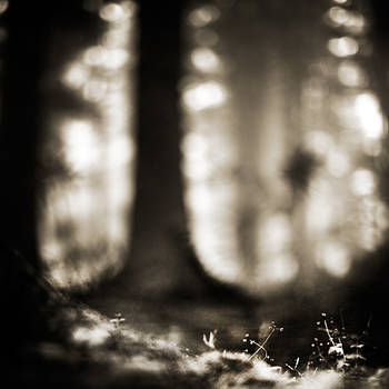 little dreams, big world by EbruSidar