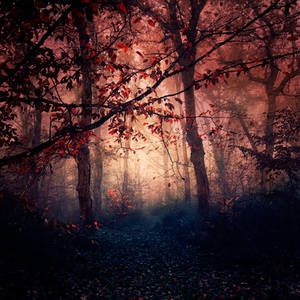 Empty Paths by EbruSidar Empty Paths by EbruSidar