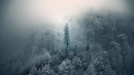 Cold Mountain by EbruSidar