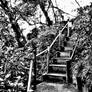 stairs to garden