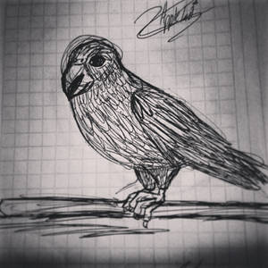 Bird- Ballpoint Pen.