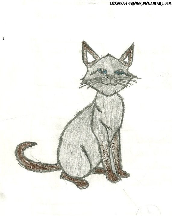 Random Cat doodle