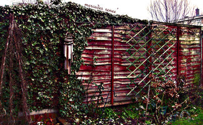 Red Fence