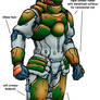 Kshatriya Body Armour