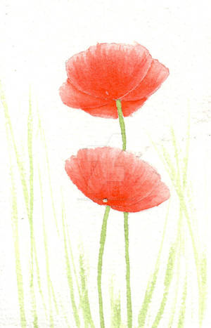Coquelicot 01 by DeliriousRose Coquelicot 01 by DeliriousRose