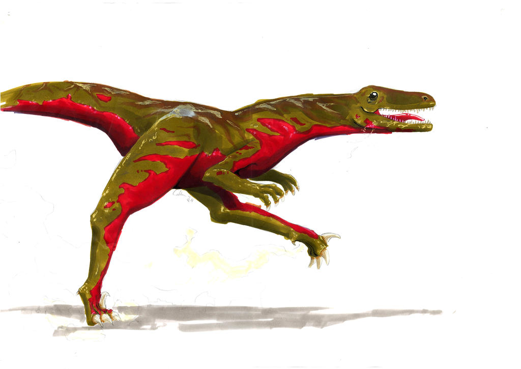 Running Raptor by ColinBRICOUT on DeviantArt