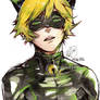 Chat Noir