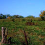 Farm lands Raytown, Missouri