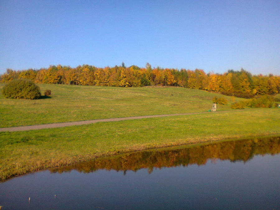 Autumn Walk