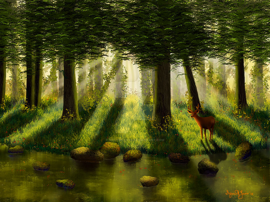 Forest Light by Sillybilly60