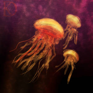 Jellyfish Speed Paint