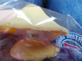 The Fortune Cookie Fail