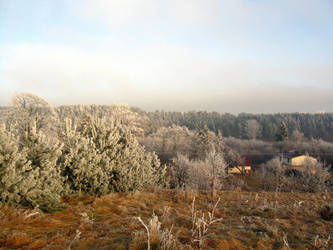 winter 2007 :2