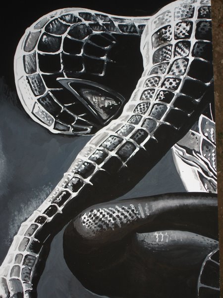 spiderman poster painting