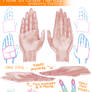How to Draw Hands - basics