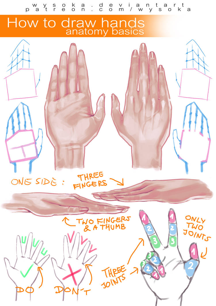 How to Draw Hands - basics by wysoka on DeviantArt