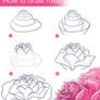 How to Draw Rose