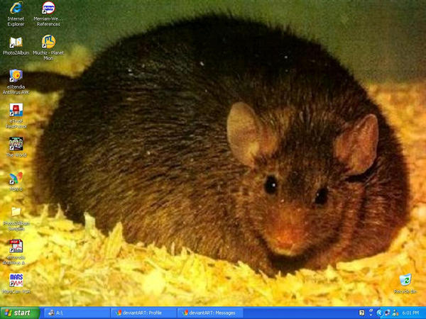 Fat Mouse by pinescentedbubble on DeviantArt