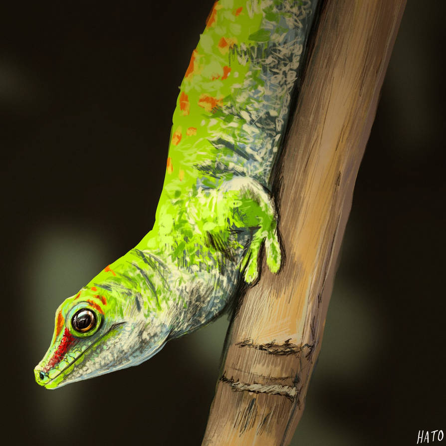 Gecko Deviantart Gecko study by Hato on DeviantArt