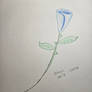 Blue Rose - Art Beyond the Curve