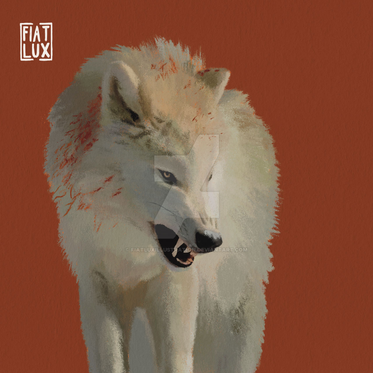White Wolf by fiatluxillustration on DeviantArt