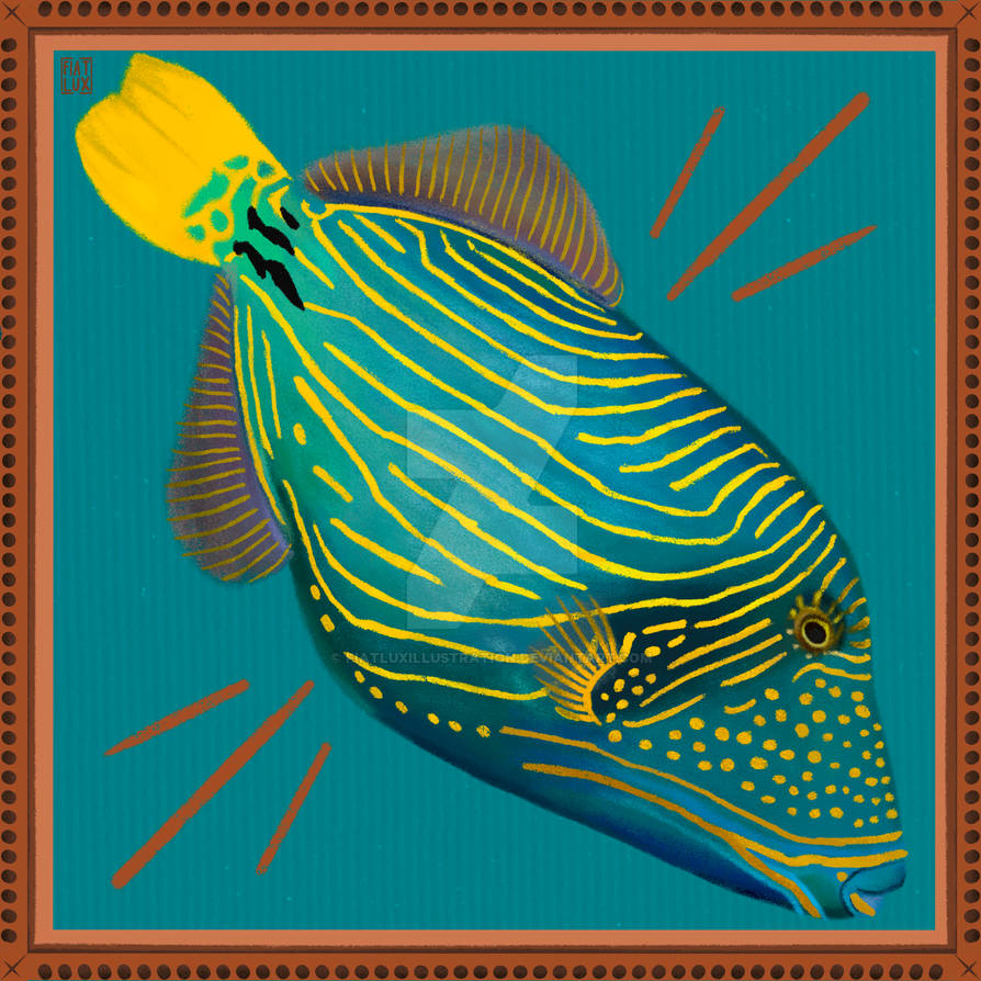 Undulated Trigger Fish by fiatluxillustration on DeviantArt