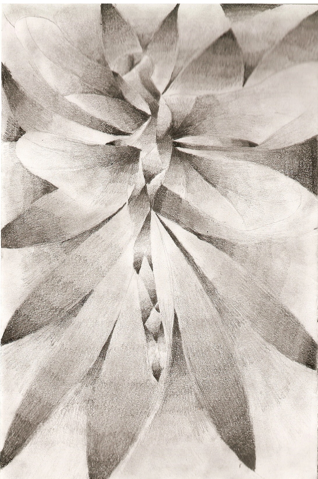 Fractured Values Examples Easy Shattered Value Drawing