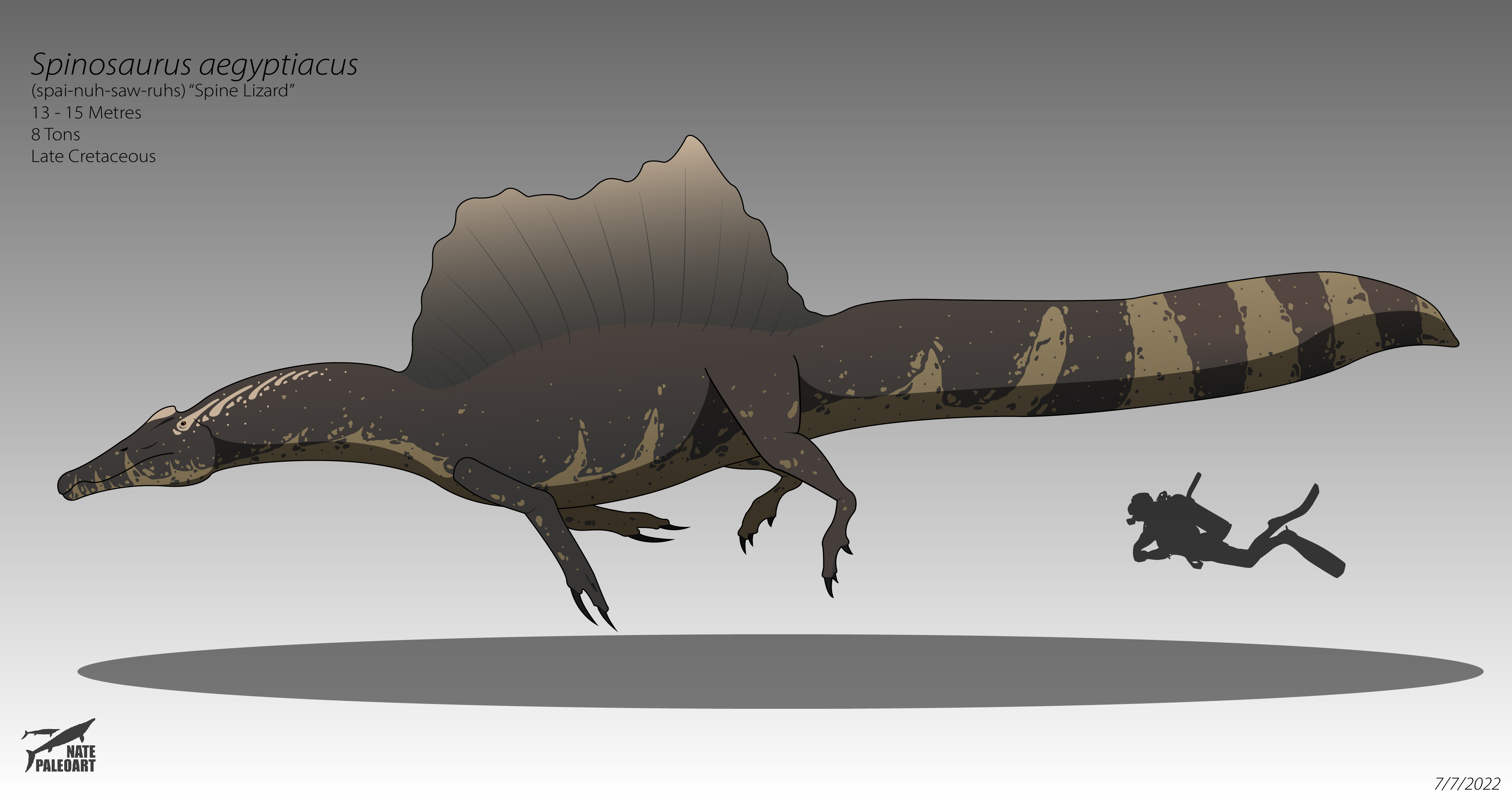 Spinosaurus aegyptiacus 2025 Reconstruction by NatePaleoart on DeviantArt