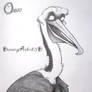 Pelican cartoon character