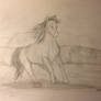 Horse Sketch