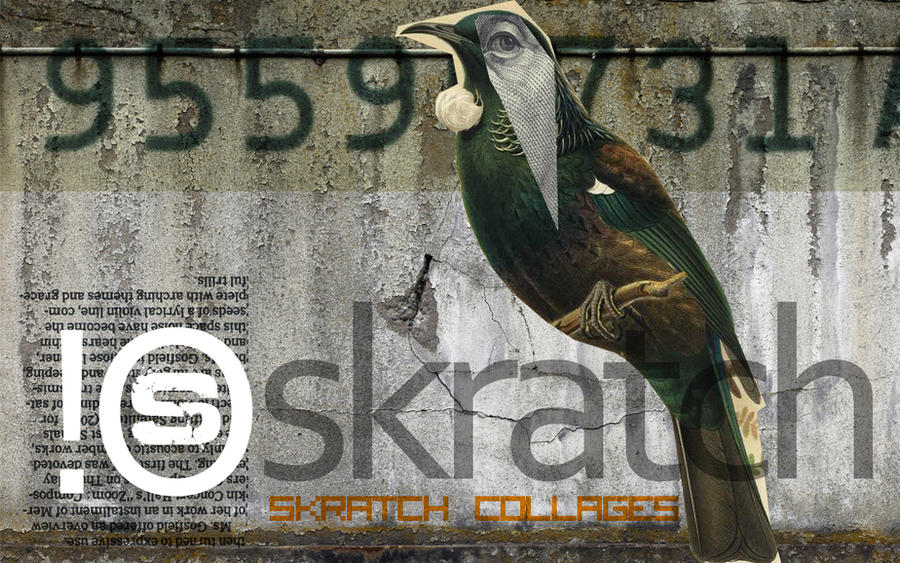 Skratch Design Skratch Collage 1 by Mrbrt27 on DeviantArt