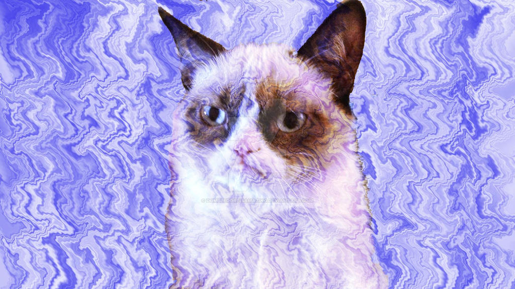 Watery Grumpy Cat