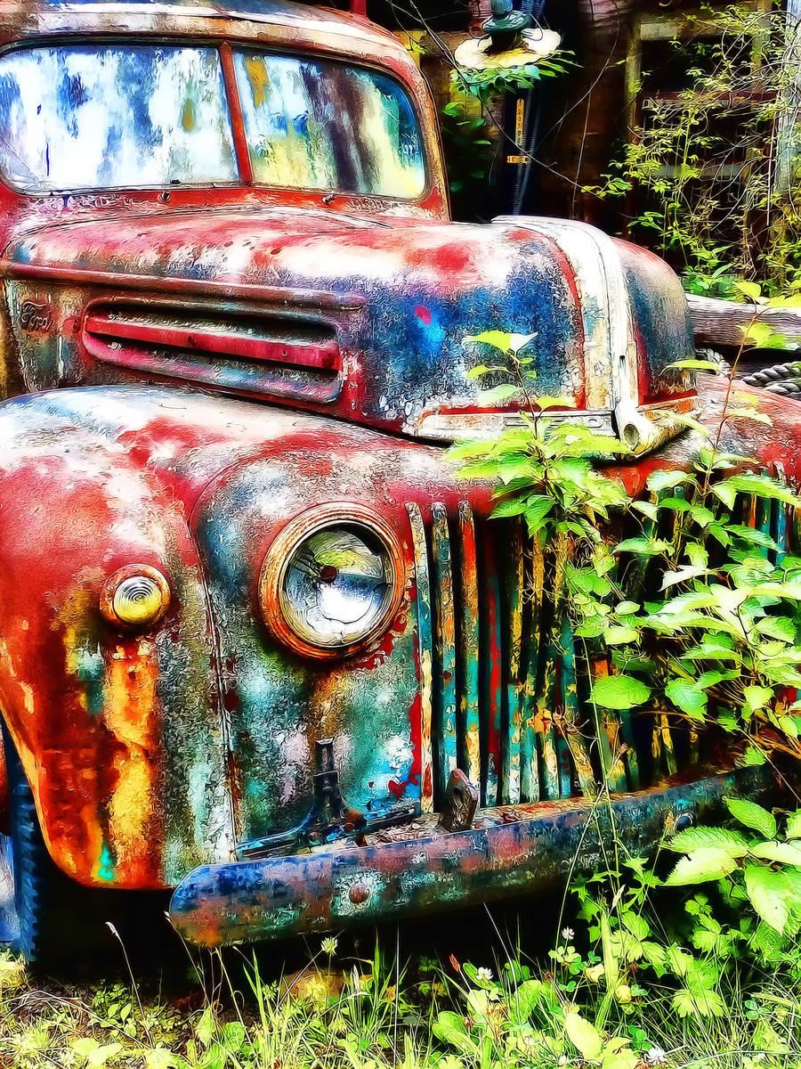 The Abandoned Car