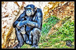 Emotion Contest - What can i do ? by RiegersArtistry