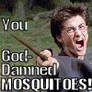 Mosquitoes