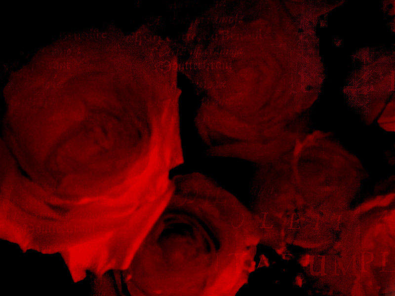 Blood Roses by B-W-B-W on DeviantArt