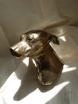 Bronze Hairless Terrier 2