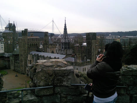 Cardiff Castle