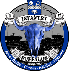 1-17th Infantry Regiment Patch