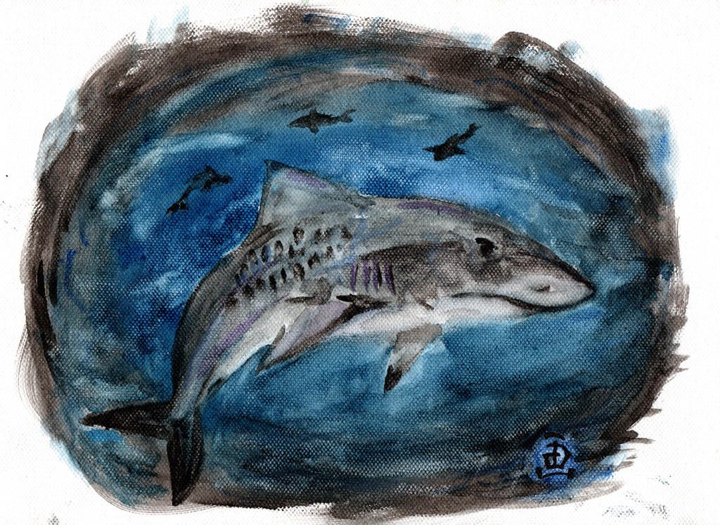 Shark Deviantart Shark by Artchivist on DeviantArt