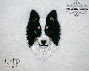 WIP - cute border collie