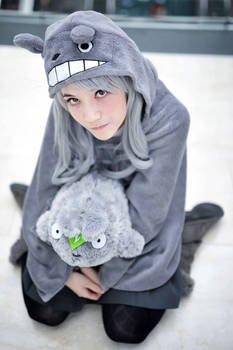 My Neighbor Totoro Cosplay