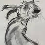 Meth Bunny