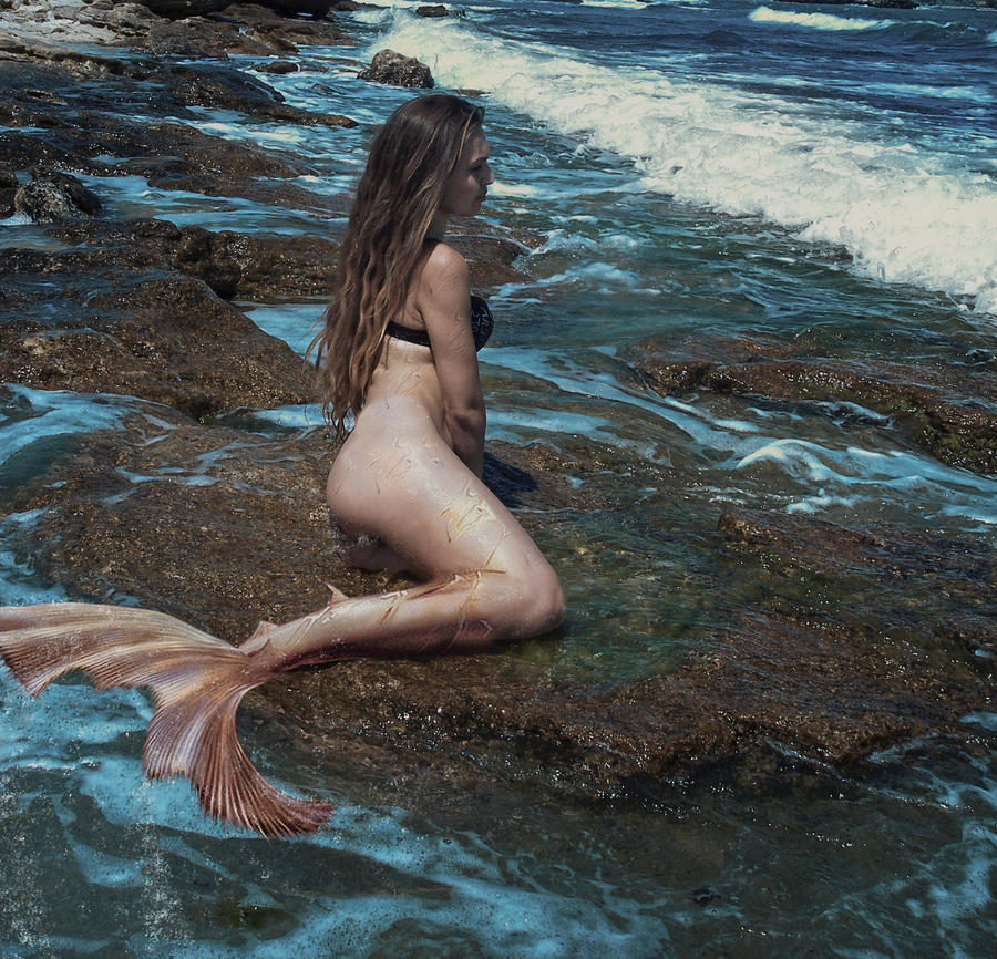 mermaid 1