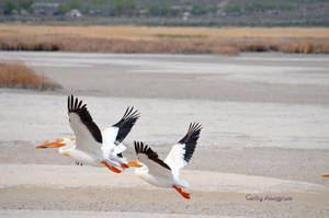 Taking Off