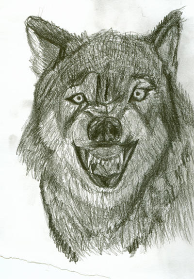 Wolf drawing by Sycophantic09 on DeviantArt